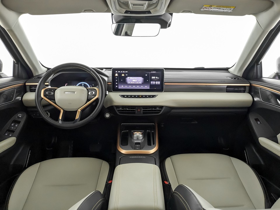 Haval Jolion#6639