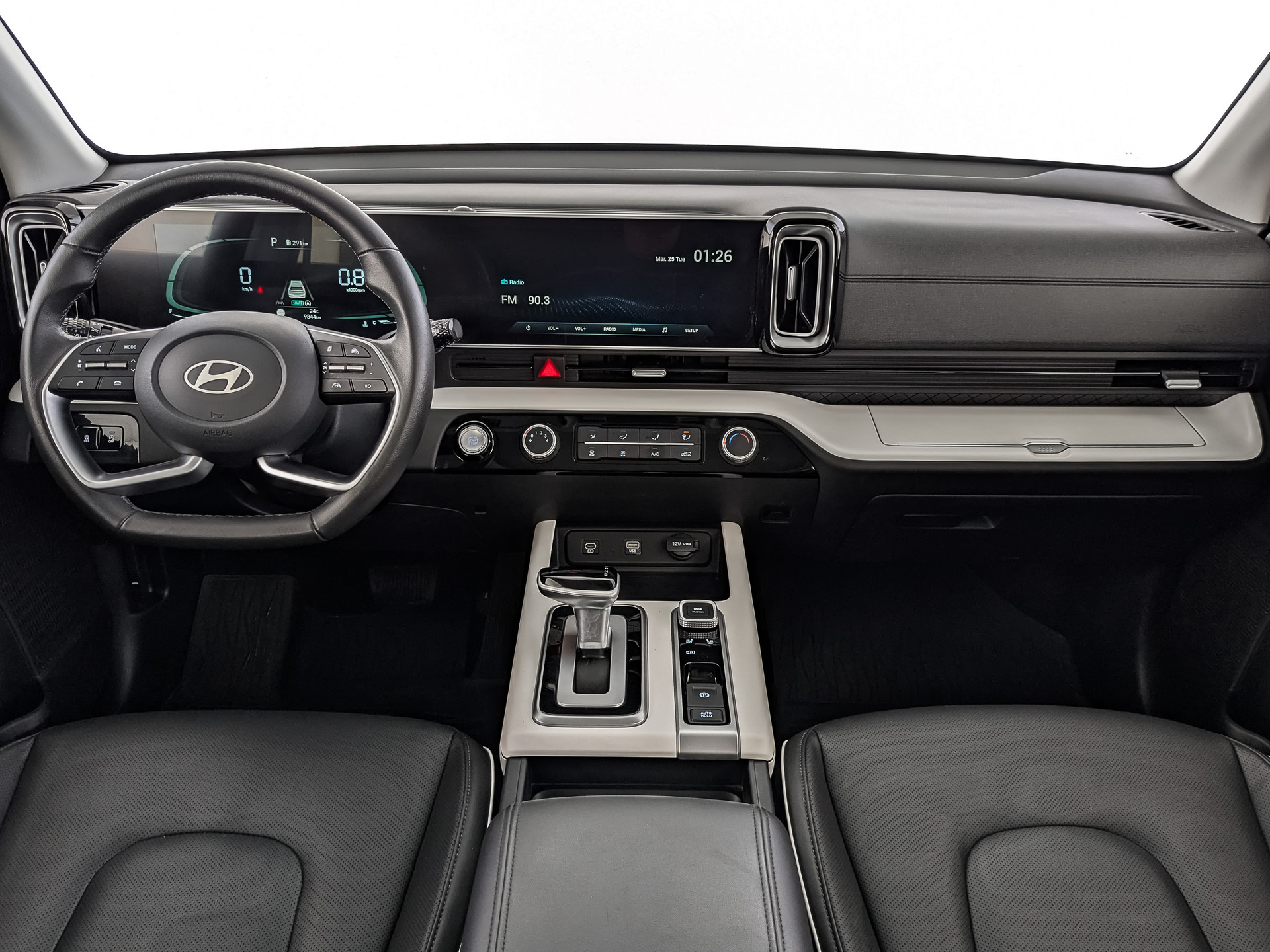 Hyundai Mufasa#74291